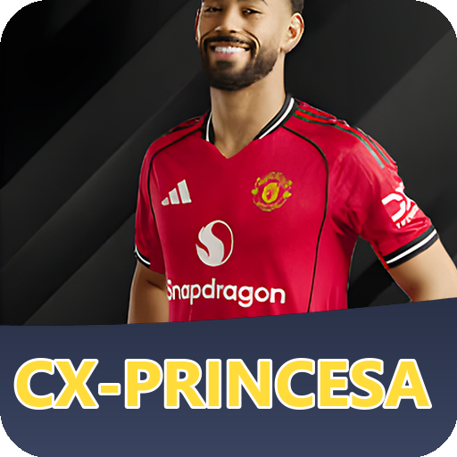 Verificação KYC CX PRINCESA